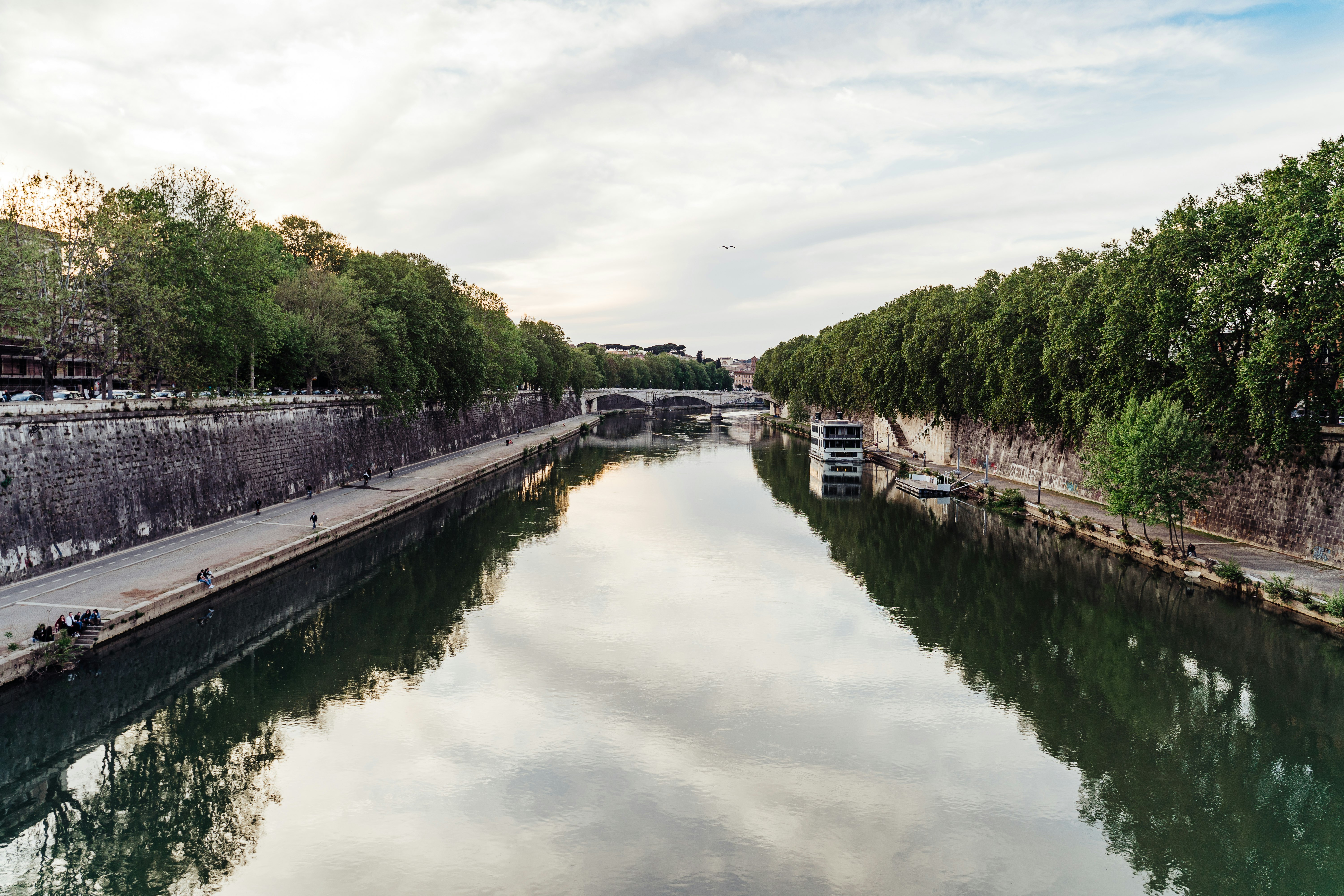 green trees beside river under white clouds during daytime